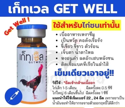 เกรทเวล GET WELL
