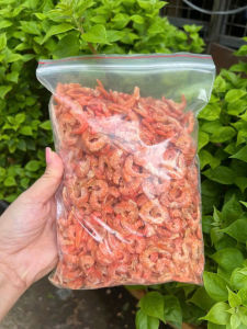 Tôm Đất Nha Trang Cao Cấp 500G Tôm Khô Loại 1 Tự Nhiên