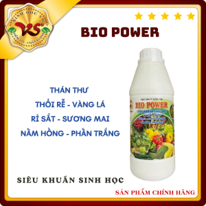Chế Phẩm Vi Sinh Phòng Bệnh Thán Thư Phấn Trắng Hiệu Quả BIO POWER CHAI 1L