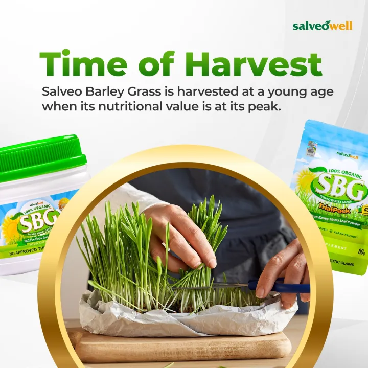 SBG%20Salveo%20Barley%20Grass%20Powder%20Original%20in%20Jar%20280%20grams%20-%20Boost%20your%20Health%20and%20Immunity%20Effectively%20FDA%20Approved%20-%20Image%204