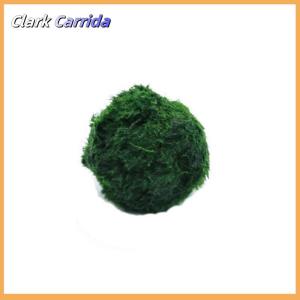 [Clark Carrida] Bóng rêu marimo 3-4cm cây thủy sinh sống tảo bể cá tôm trang trí bóng tảo xanh mô phỏng cây nhân tạo