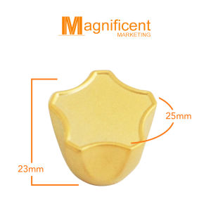 839 Star Lite Plain Stainless and Gold Cabinet Door Pull Handle - 1Pc