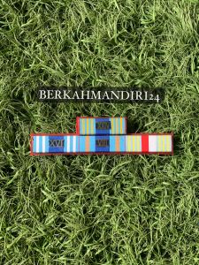 Satya Lencana Pita Jasa PDH TNI Dharma Nusa Wiratama Nararya