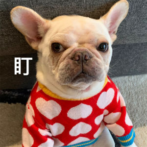 DY Loving Áo Len Shihtzu Cho Chó Hàn Quốc Áo Khoác Thú Cưng Trái Tim Màu Đỏ Phối Màu Áo Khoác Ấm Thời Trang Cho Mèo