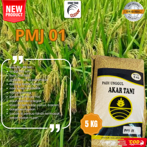 New!!! Benih Padi PMJ 01 Kemasan 5kg Original Bibit Padi