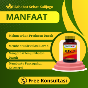 obat herbal melancarkan pembuluh darah