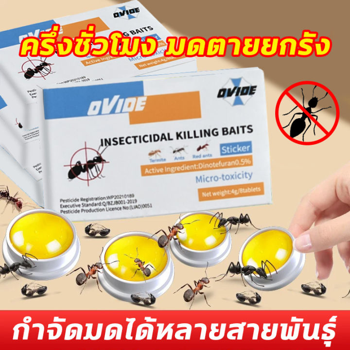 🚫ครึ่งชั่วโมง มดตายยกรัง🐜 GE ฆ่ามด เจลกำจัดมด กำจัดมด ยากำจัดมด กำจัดมด ...