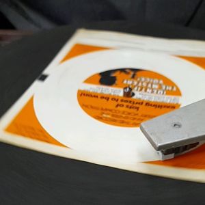 IDENTIFY THE MYSTERY VOICE (แผ่นน่าสนใจ สะสม)