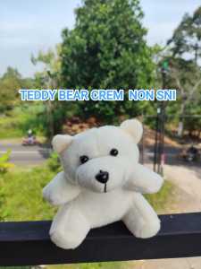 GRATIS SELEMPANG - Boneka Wisuda Teddy Bear Mini Beruang - Bear Wisuda Bisa Custom Nama Sehari Jadi