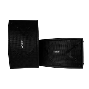 2 pcs VOSS Audio Karaoke Speaker K-10B
