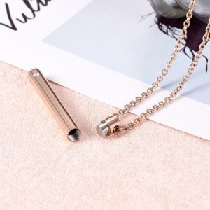 Stainless Steel for Cat Dog Memorial Container Holder Memorial Keepsake Pendant Chain Necklace for Ashes Hol