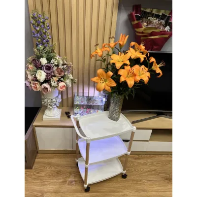 Kệ Ba Tầng Kệ Nail Mi Móng Tóc . Xe Đẩy Spa Ba Tầng . Xe Đẩy Gỗ 3 Tầng Cao Cấp - SPA88