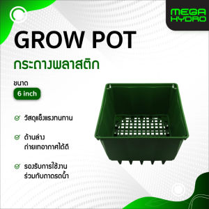 Grow Pot 6 นิ้ว กระถางปลูกต้นไม้พลาสติก ระบายอากาศได้ดี ใช้กับถาดรดน้ำได้ กระถางพลาสติกสีเขียว