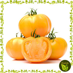 yellow  big tomato 5 seeds fruit outdoor garden plant