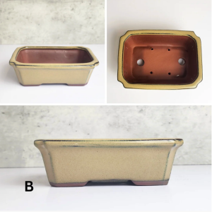 The Leaferie Petit Bonsai Pot (Series 4) rectangular mini plant pots. flowerpot . rectangle flowerpots . planter . planters . succulent