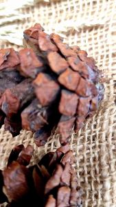 Properti Foto Produk Estetik / Dekor Foto Aesthetic Lengkap / Properti Photo Product Murah