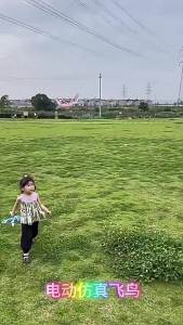 Electric Hand Throwing Space Flying Bird ， Luminous Flapping Bionic Bird ， Childrens aircraft toys ，USB Charging