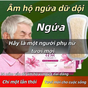 Miếng dán xông vùng kín Thảo Mộc Hoa Sen Tuyết Chăm Sóc Cá Nhân Làm Sạch Giảm Nấm Ngứa Vùng Nhạy Cảm (2 Miếng/Hộp)