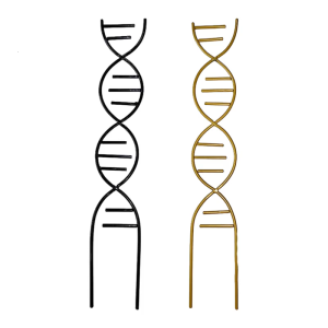 Sắt Trong Nhà Trellis Dây Vườn Trellis Nhỏ Leo Núi Trellis Cho Vườn Trong Chậu Leo Núi Houseplant