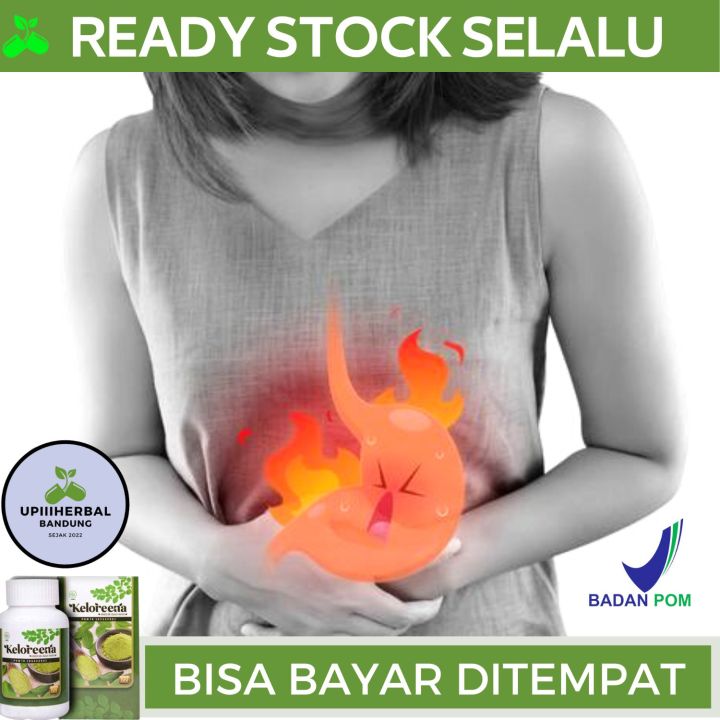 Obat Maag, Obat Untuk Penyakit Maag, Obat Asam Lambung Naik, Obat Tukak Lambung, Obat Untuk Penyakit Lambung, Obat Lambung Luka, Obat Penyakit Lambung, Obat Maag Dengan Keloreena