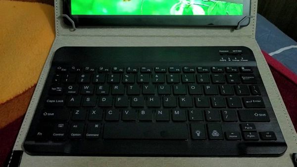Buyer review video 6