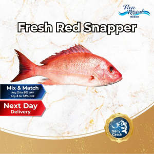 [PAN ROYAL] Fresh Red Snapper (600 - 700g +/-)