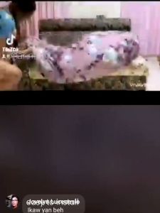 UNIVERSAL ELASTIC SOFA COVER ALL SHAPE OF SOFA COVER