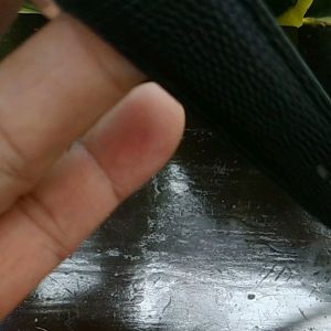 [Hàng sịn]Đồng hồ Nam Sapphier chống trầy xước+vỏ thép không gỉ inox316+Dây da thật siêu dẻokhóa khắc Md tuyệt đẹp+Hộp sang trọng