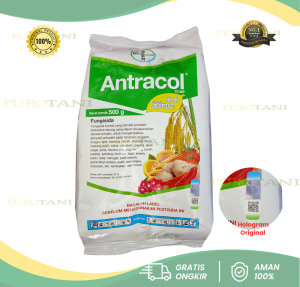 Fungisida Anti Jamur Antracol 70 WP 500Gr Plus Zinc