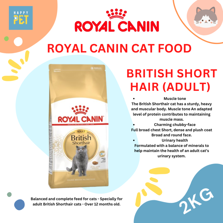Royal Canin British Shorthair Adult 2kg | Trockenfutter