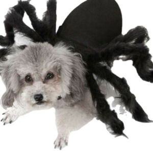 Puppy Plush Transformer Party Pet Clothes Cat Simulation Dress Up Spider Coat/Cat Simulation Plush Transformer Pet Clothes Party