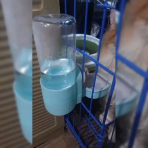 Automatic Refill Water DispenserBowl Cat Bowl Dog Bowl Food Bowl For Daily Use