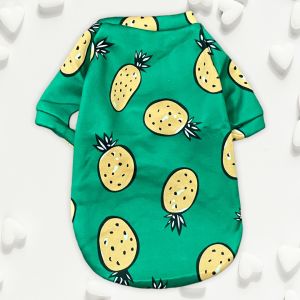 สินค้าขายดี (พร้อมส่งจากไทย) เสื้อผ้าสุนัข แมว สัตว์เลี้ยง กันหนาว ผ้ากำมะหยี่ เนื้อนิ่ม ลายการ์ตูน งานตัดเย็บดี ต้องจัดให้น้องๆแล้ว