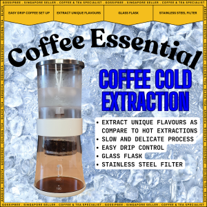 GossipBee Elegant Stainless Steel Coffee Cold Brew Kit with Glass Flask & Filter