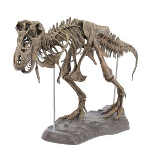 GLOWLITE Tyrannosaurus Rex DIY Dinosaur Skeleton Toys Jurassic Period Animal Figurines Dinosaur Model DIY Birthday Gift Simulation Assembled Skeleton Park Boys Girls