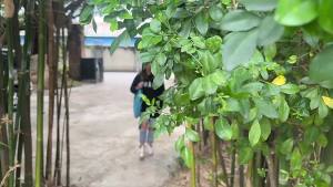 Outdoor tent foldable tent Camping outdoor small cabin mesh folding tent can be stored and carried around automatically opens in three seconds no need to set up the tent