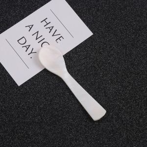 JPTD Kitchen Conch Natural Teaspoon Stirring Tool Coffee Scoop Caviar Spoons