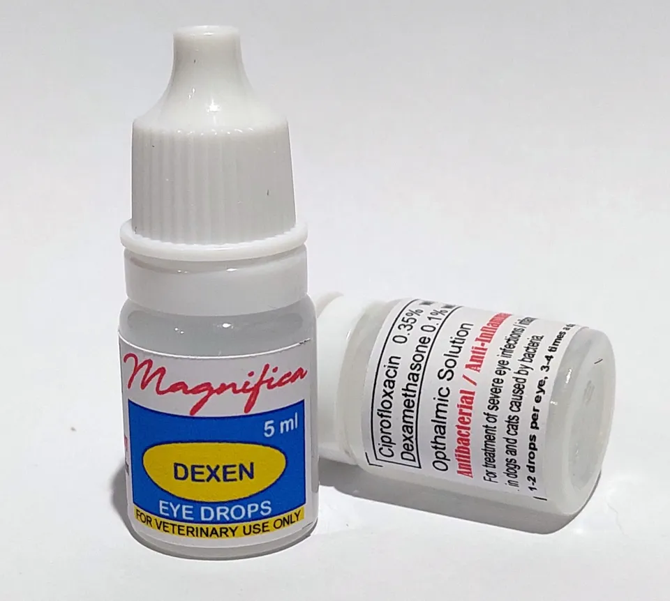 Magnifica DEXEN Dexamethasone Ciprofloxacin Eye Drops for Dogs Cats 5ml Lazada PH