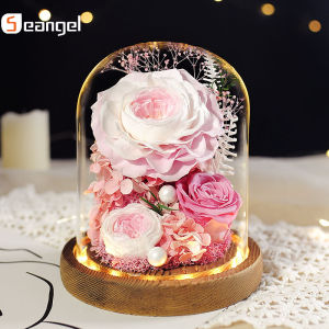 Hoa Seangel Bảo quản Hoa lớn mới nhất Mantra Hoa hồng bất tử Hoa thật có nắp thủy tinh Hộp quà tặng hoa khô tự nhiên Trang trí sáng tạo