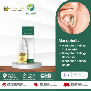 Obat Penyakit Telinga Berkhasiat Obat Telinga Berdengung Berdarah Bernanah Berair Gendang Telinga Pecah Infeksi Telinga Obat Tetes PROPOLIS SM BRAZIL