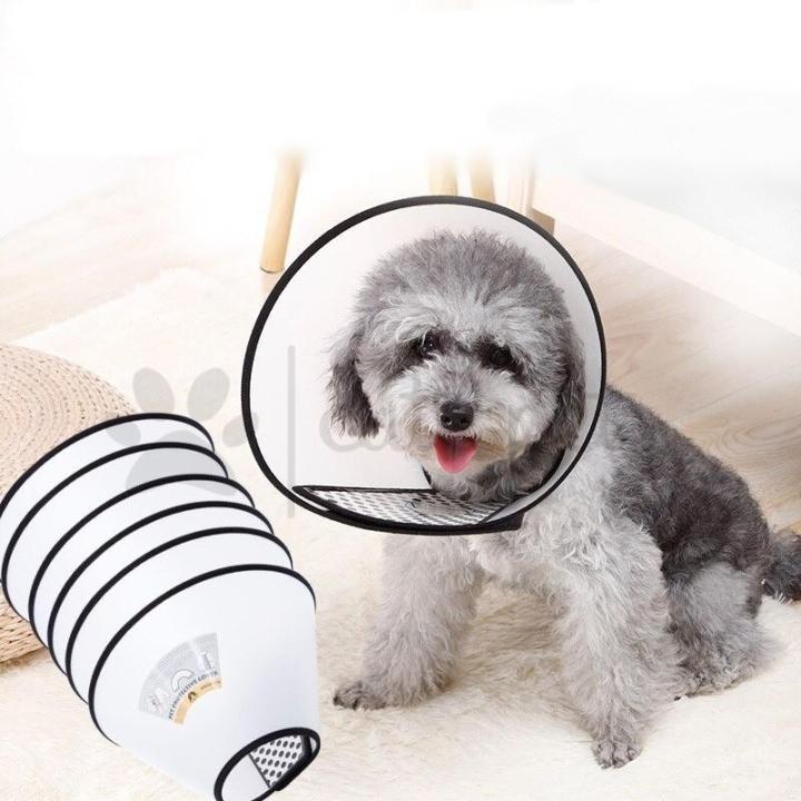 Cone for outlet dogs neck