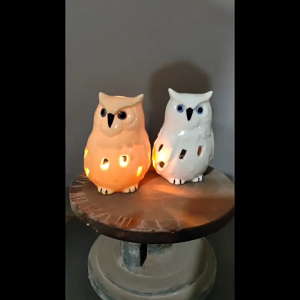 Peafowl Pot Flowerpot Garden Pot Ceramic Fleshy Pot Planter Holder for Home Office Desk Mini Ornament