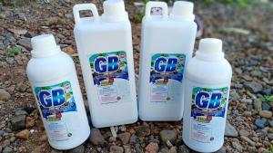 Pembersih Kerak Kamar Mandi Ampuh Toilet Keramik Porselen WC Closet Jongkok Wastafel GB Pro 500 ML