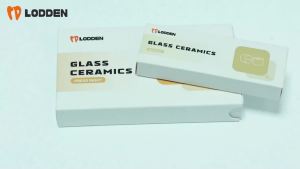 10PCS Dental Press Ingots Lithium Disilicate Blocks HT/LT/MT Glass Ceramic Block Ingots Dentist Materials