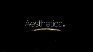Aesthetica Brow Contour Kit 16-Piece Eyebrow Makeup Palette Set    6 Eyebrow Powders 5 Eyebrow Stencils Spoolie/Brush Duo Tweezers Eye Brow Wax Highlighter Birthday Gifts For Women