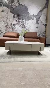 Coffee Table Oval Living Room Lifting Coffee Table Marble Combination Storage Coffee Table Table