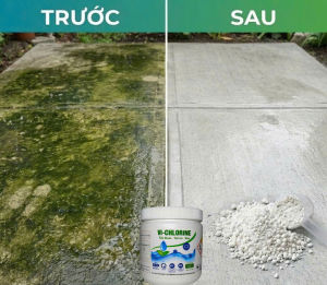 Bột tẩy rong rêu nấm mốc sàn sân bãi...