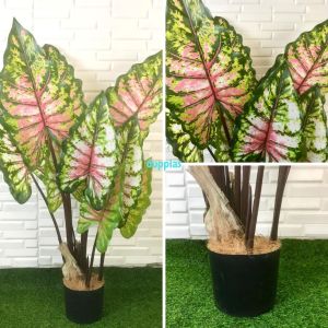 Pohon Artificial Daun Keladi Giant Taro & Keladi Pelangi T120 Pot Dasar Hitam Dekorasi Ruangan