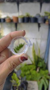 คลิปพลาสติกสําหรับหนีบพันธุ์พืชต้นไม้ต้นไม้ (5ชิ้น)หนีบล็อคต้นไม้