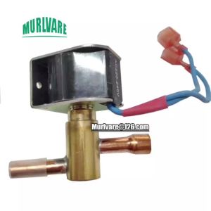 Ice Maker Parts Solenoid Valve 220-240V Original Hot Gas Valve For Manitowoc ES QM UG Series Ice Making Machine 性能稳定耐用 品质保证